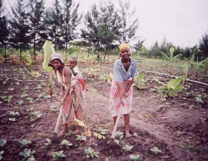 Mosambik Ernährungssicherheit und Einkommen für Kleinbauern Die Menschen im Norden Mosambiks, in der Provinz Cabo Delgado, leben zum allergrößten Teil von der Subsistenzlandwirtschaft.