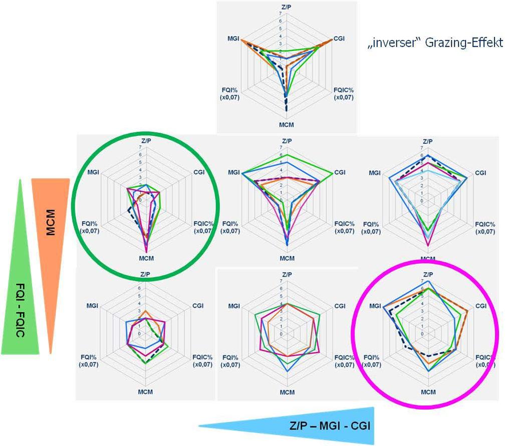 Abbildung 4: Verschiedene Muster der Radardiagramme in Relation zur Ausprägung der verwendeten PhytoLoss-Indizes. Die farbig eingezeichneten Dreiecke geben dabei die Richtung der Index-Gradienten an.