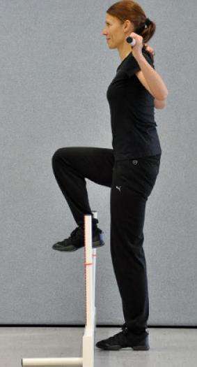 Straight-Leg Raise [2], Shoulder-Mobility [3],