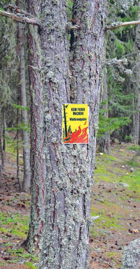 In Zeiten erhöhter Gefahr ist das Feuern im Wald und in Waldesnähe verboten.