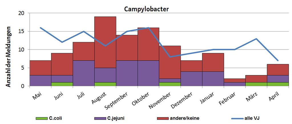 Abbildung 1 Gemeldete Campylobacter-Infektionen nach Erregertypen in bis 30.