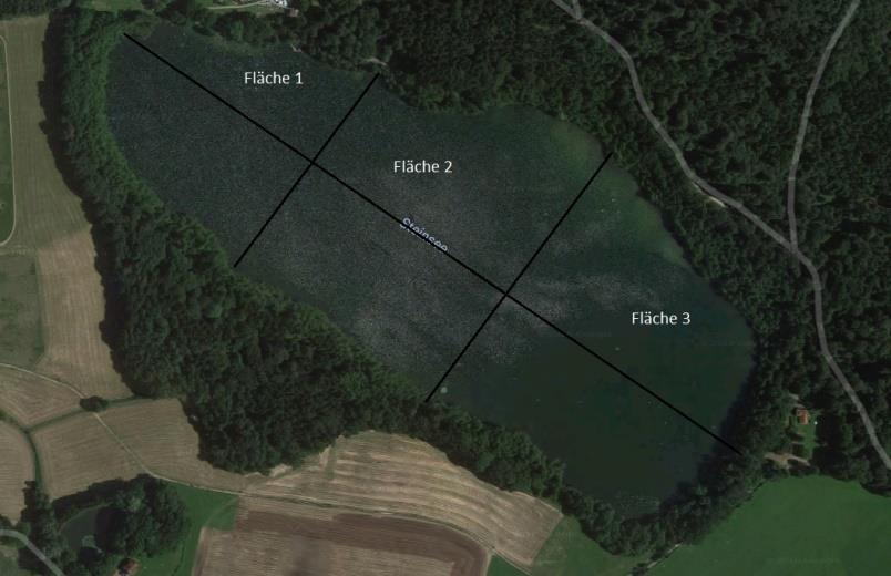 noch krummere Dinger. Beispiele zur Flächenberechnung: Wie groß ist die Fläche des Steinsees?