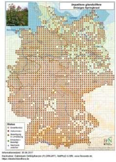 Häufigkeit und Verbreitung der Unionslistearten in Deutschland