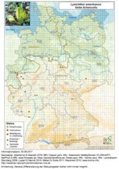 Karolina-Haarnixe Wasserhyazinthe Großer Wassernabel Wechsbl.