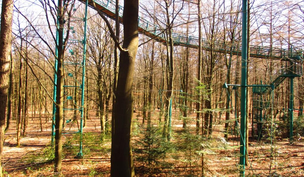 10. Baumkronen und Waldwege Wir besuchen den Boomkroonpad in Holland. Sie können oben in den Baumkronen spazieren. Oder unten durch den Park wandern.