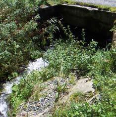 Land- und Forstwirtschaft Wildbachbegehungen dienen der Hochwassersicherheit Durchflussbereich Gemeindestraße zum Teil durch Ablagerungen behindert Räumung Einathbach in Planung