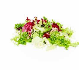 Salatmischungen Weil man Vertrauen nicht kaufen kann. Salatmischung Bari Mix, frisch Eisberg, Frisee, Radicchio, Lollo Rosso Art.Nr.