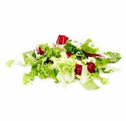 : 23069 Salatmischung Grüner Salat Mix, Eisberg, Frisee, Chinakohl Art.Nr.