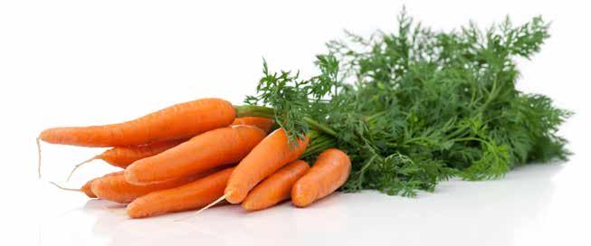 Gemüse & Salate sortenrein Weil man Vertrauen nicht kaufen kann. Gelbe Rüben ganz geschält frisch, 3 kg Art.Nr.