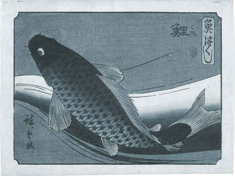 Carp after Hiroshige Utagawa Fish sculpture 50 x 90 x 50 cm
