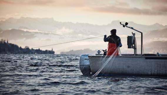 ADRIANS FISCHKNUSPERLI Adrian ist der einzige Berufsfischer der Stadt Zürich. Er kennt die Topografie des Sees auswendig.