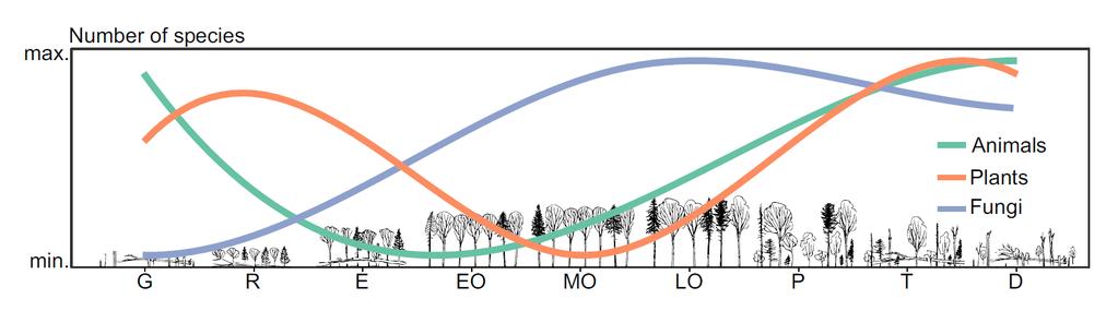 Anzahl der Arten Biodiversität und Walddynamik Gestörte Wälder haben gleich hohe Diversität wie alte Wälder Störung Urwald Hilmers et al. (2018, J. Appl. Ecol.