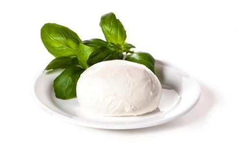mozzarella senza lattosio Allergene Zutaten - Ingredienti allergenici Laktose-