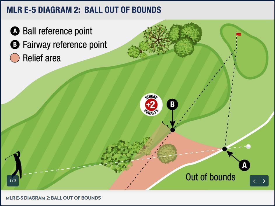 Musterplatzregel E-5 mit 2 Strafschlägen einen Ball in der Erleichterungszone fallen lassen.