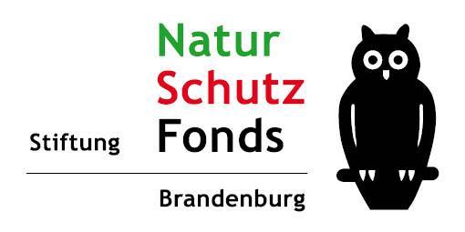VORSCHLAG BEWERBUNG Naturschutzpreis 2019 der Stiftung NaturSchutzFonds Brandenburg an die Stiftung NaturSchutzFonds Brandenburg z. Hd.