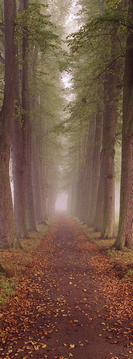 Herbst Septembermorgen Im Nebel ruhet noch die Welt, noch träumen Wald und Wiesen.
