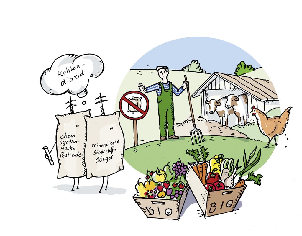 Klima-Tipp 8 Bio ist gut fürs Klima. Viele Lebens-Mittel kann man auch als Bio-Lebens-Mittel kaufen. Zum Beispiel Bio-Obst. Oder Bio-Gemüse. Oder Bio-Fleisch. Was heißt das?