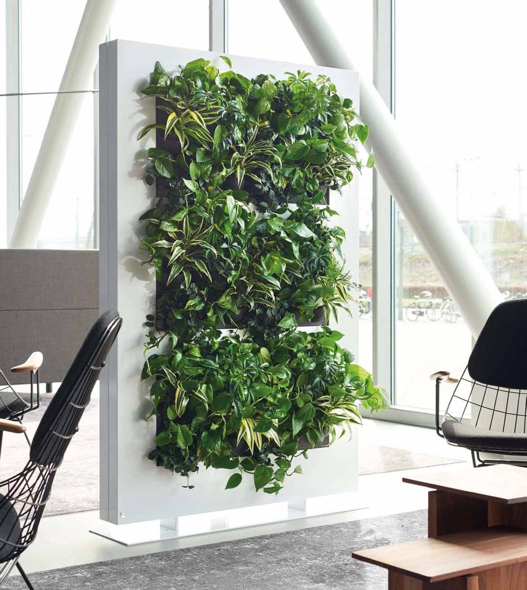 Der grüne Raumteiler LiveDivider von Mobilane ist ein beidseitig bepflanzter dekorativer Raumteiler. LiveDivider eignet sich perfekt für die optische Trennung von Räumen.