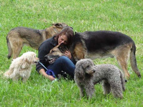 Mit Frau Ilona Schmidt organisierten wir auch ein Hundeseminar, welches einigen Hundehaltern Hilfestellung