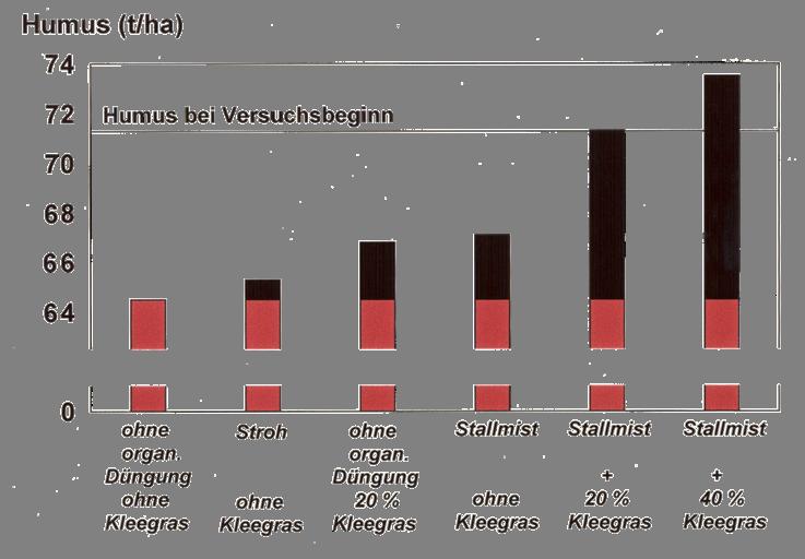 Humusaufbau Humusmengen bei