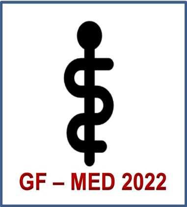 Mentoring GF-MED 2022 Zwischen Hörsaal und Berufspraxis Wie kann Mentoring