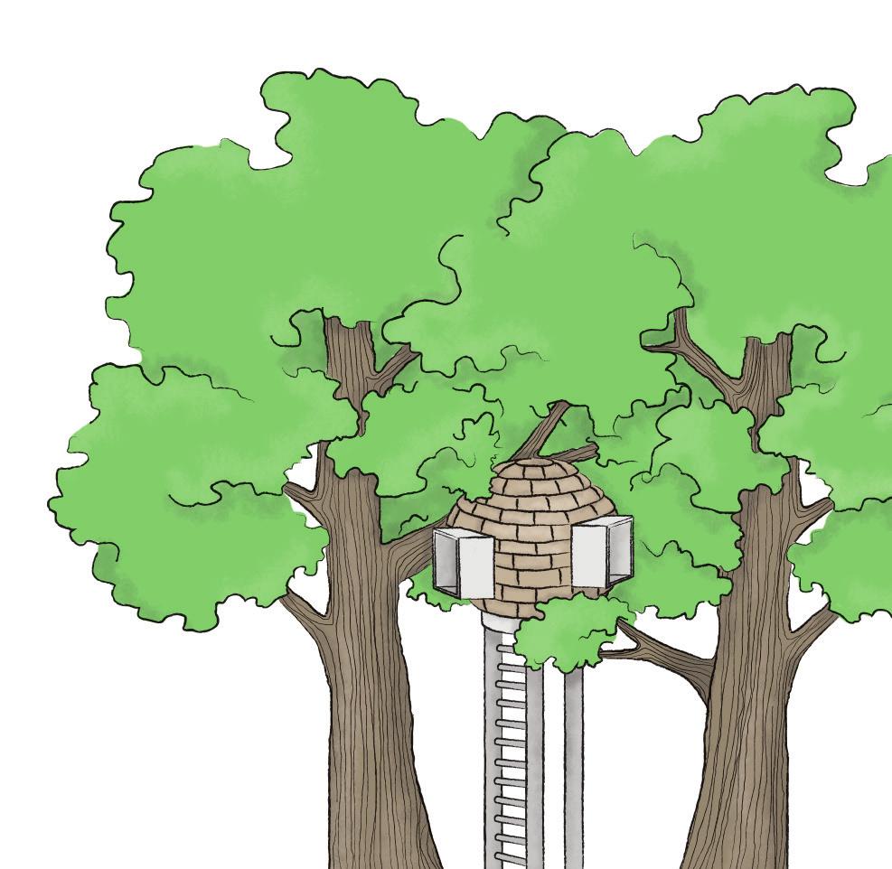 verschiedene Arten gibt, um ein Baumhaus zu bauen.