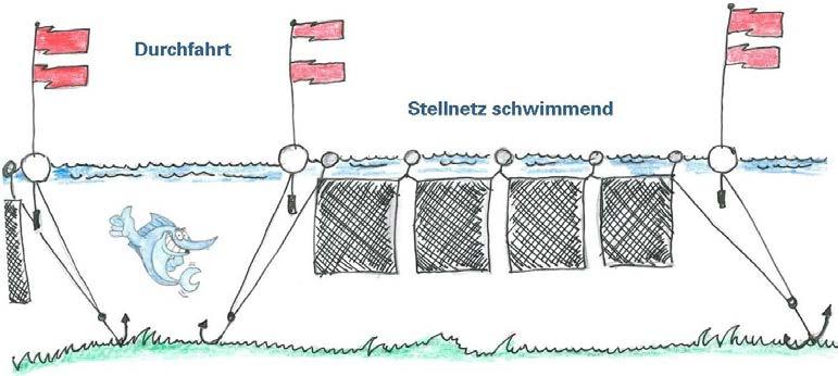 8.5 Kennzeichnung von Netzen und Reusen in Küstengewässern Die Kennzeichnung von Stellnetzen und Reusen ist in den Küstenfischereiverordnungen der Bundesländer Mecklenburg-Vorpommern, Niedersachsen