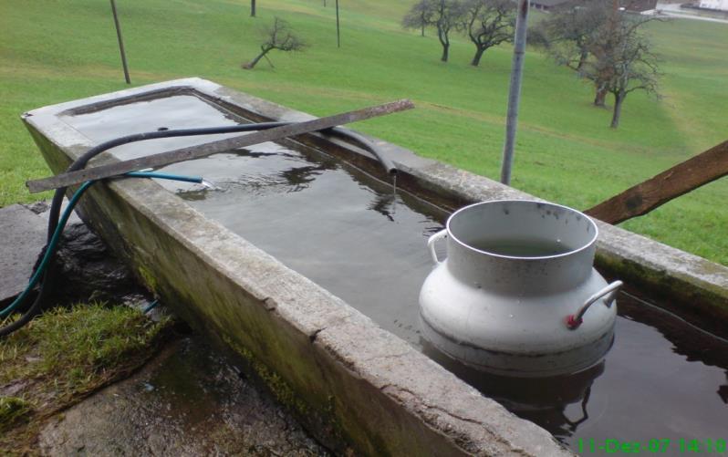 Milchhygiene Kühlung über Nacht im Brunnen nicht abgedeckt Fliegen Regen Temperatur Milch Ungekühlt sofort verkäsen oder Bei
