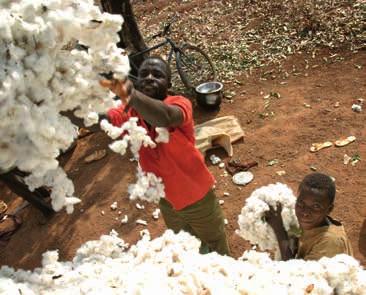 14 Fluchtursache Perspektivlosigkeit und Armut Weißes Gold ohne Wert Warum Mali trotz der großen Nachfrage nach Baumwolle arm ist M ali ist nicht nur der drittgrößte Goldproduzent Afrikas, sondern