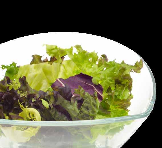 PORTIONSGEWICHT Je volumiöser der Salat, desto geringer das Gewicht für eine Portion. In der Tabelle finden Sie Richtgrößen für Portionsgewichte, je nach Salatart und Größe der Portion.