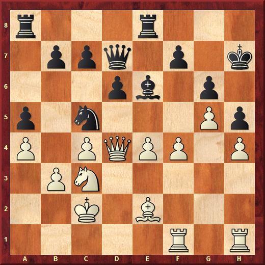 das System 0-0, c6, Sbd7, Sb6 und d5 zu spielen. Aber Weiß kann statt, wie üblich, 8.Le3 vielleicht besser 8.Lg5 ziehen) 8.Le3 Sxd4 9.Lxd4 0-0 10.Dd2 Le6 11.0-0-0 Sd7 12.Lxg7 Kxg7 13.h4 Df6! 14.