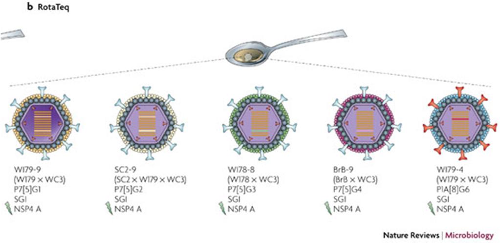 Vergleich Rotavirus Impfstofffe Rotarix RotaTeq GlaxoSmithKline