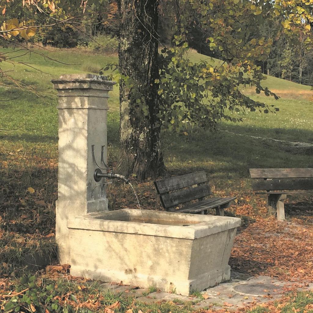 Friedensrichterämter der Stadt Zürich Jahresbericht 2015 Brunnen und Buche auf dem Höckler in Zürich 3 Schlichten statt Richten, ist als Grundsatz anerkannt: «Dem Entscheidverfahren geht ein