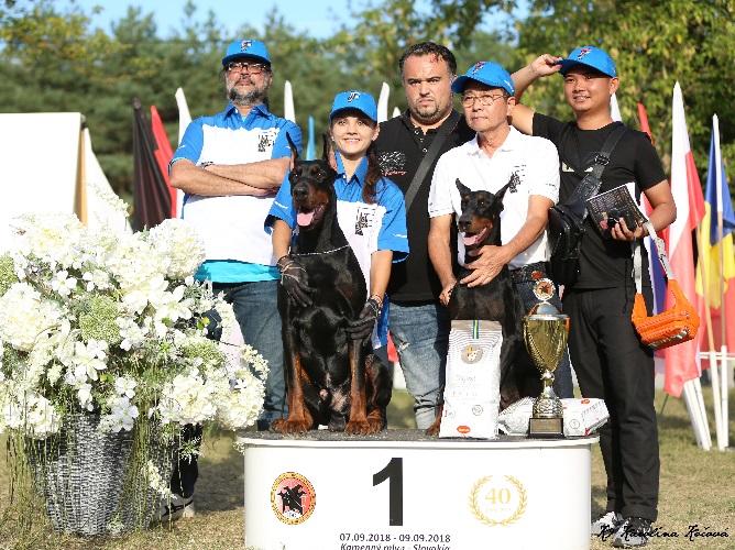 Daneben gab es noch die Wettbewerbe der Paarklassen, der Zucht- und Nachzuchtgruppen, sowie der Vorstellung alle mehr als 8 Jahre alten Dobermannhunde der Veteranen.