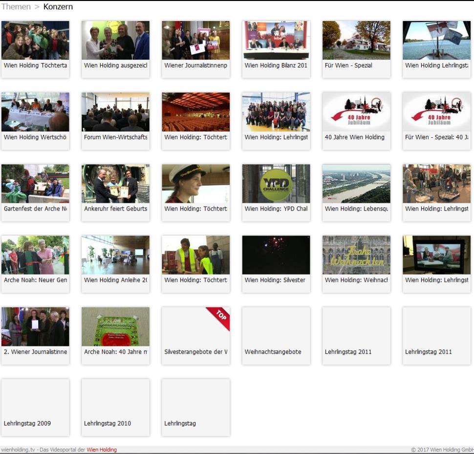 Unter jeder Unterkategorie befinden sich Videos, die Beiträge zu dem jeweiligen Themenbereich beinhalten.