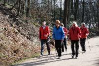 Nordic Walking Unser Training findet gemeinsam mit Teilnehmern des Ski-Club-Cronenberg statt. Donnerstags von 15:00 Uhr ca. 1 Stunde in Soft Technik (ruhig, gleichmäßig), Treffpunkt: Vor Röhnstr.