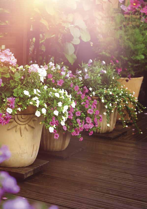 Beet-, Balkon- und Kübelpflanzenerden BEET-, BALKON- UND KÜBELPFLANZENERDEN Für grüne Oasen auf kleinstem Raum Gärtnern bereitet Freude und bietet einen tollen Ausgleich zum Alltag und dazu benötigt