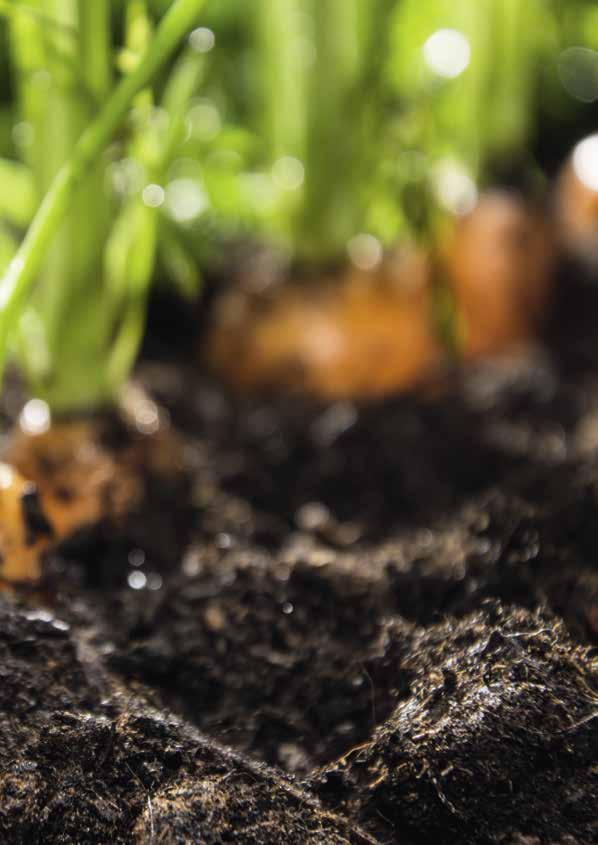 BIO ERDEN Bio Erden Natürlich starkes Wachstum In die Entwicklung des Sortiments der Bio-Erden lässt Floragard seine jahrzehntelange Erfahrung aus dem Bereich des Produktionsgartenbaus einfließen.