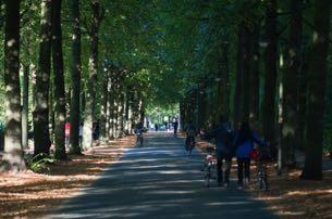 Münster - die lebenswerteste Stadt der Welt Die Promenade ist die grüne Verkehrsader von Münster und umschließt