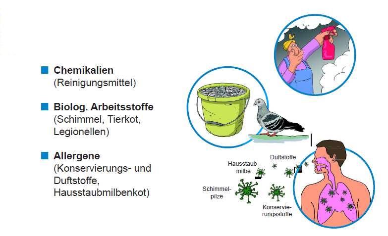 Lungenbelastungen im Reinigungsgewerbe Chemikalien (Reinigungsmittel) Biologische Arbeitsstoffe