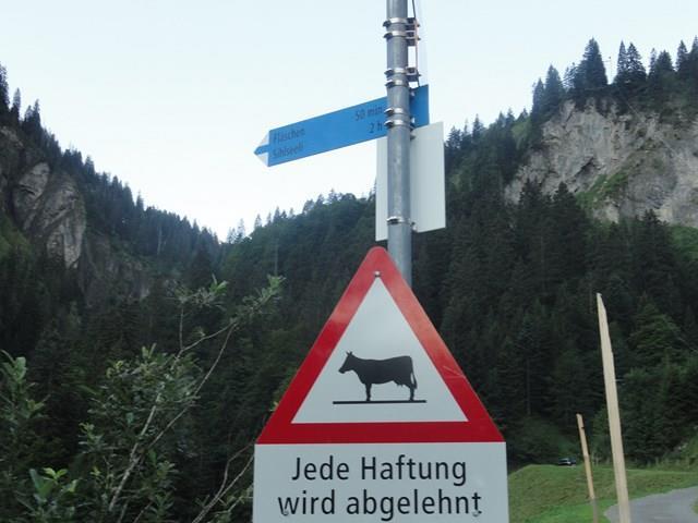 Routen-Einstiegsmerkmale Alpenstrassen fährt man immer auf eigene Verantwortung, man
