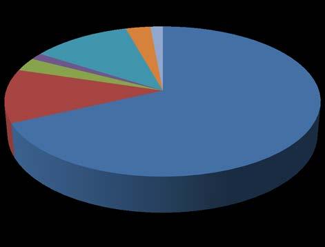 Deutsch als (zweite) Familiensprache 3% % % 3% % Deutsch als (zweite) Familiensprache Deutsch und zwei weitere Familiensprachen Deutsch und drei weitere Familiensprachen % 68%