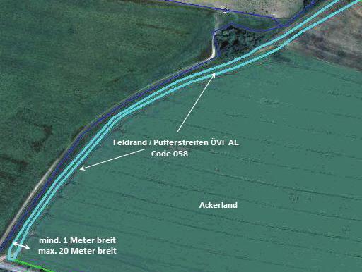 Für Ufervegetationsstreifen gilt ein Gewichtungsfaktor von 1,5. Code 057: Feldrand / Pufferstreifen ÖVF DGL Defi nition: Die Fläche grenzt an einen Schlag mit Ackernutzung an.