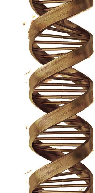 DIE ENTSCHEIDENSTEN HOLZBEARBEITUNGSTECHNOLOGIEN SIND BESTANDTEIL UNSERER DNA SCM EINE ENORME KOMPETENZ VEREINT ZU EINER EINZIGARTIGEN MARKE Mit über 65 Jahre Erfahrung ist SCM einer der