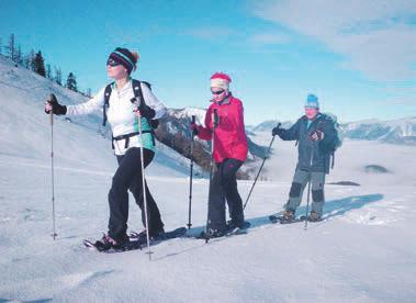 BEwegen Schneeschuh-Wandern ein Genuss für Naturliebhaber Sie suchen das außergewöhnliche Abenteuer