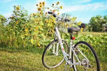 RADFAHREN Geführte E-Bike-Tour Auf den rund 45 km verbindet die Kleeblattroute alle vier Ortsteile