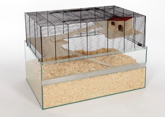 114 x 74 x 75 cm SKYLINE-NAGERHEIM Modell: "Lupo", Glashöhe: 19 cm Für Ratten, Mäuse und Hamster 122310