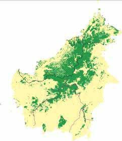 Waldverluste auf Borneo 1985 2005 2020 WWF Deutschland