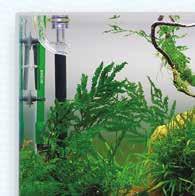 Pflanzendünger: Goldenes Dreieck Aquarium Typ I, für den normalen Liebhaber Die meisten Aquarien von diesem Typ (120 x 60 x 60 cm), werden