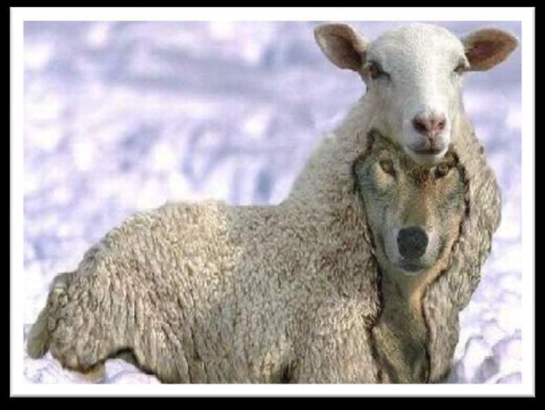 Was mit Richten nicht gemeint ist! Matthäus 7,15 15 Hütet euch vor den falschen Propheten, die in Schafskleidern zu euch kommen!